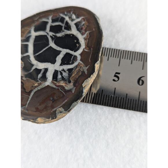 Dragon Stone Septarian slice fossil 41 x 55mm 35.5 grams Thunder egg NWOT - Picture 5 of 11